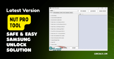 Nut cgi tool interface showing automated cgi script execution and output results